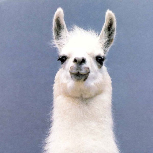 Татьяна Шилова