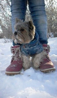 Елизавета Ерохина