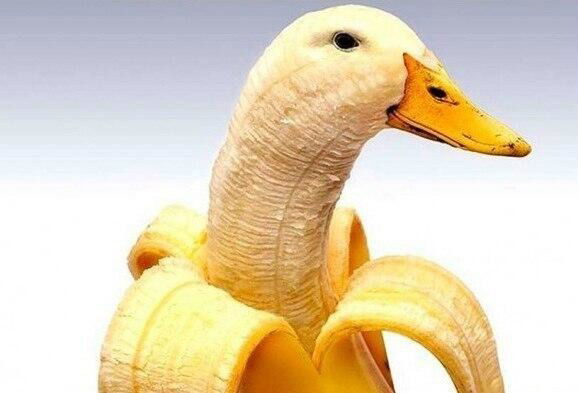 •совушка• С: