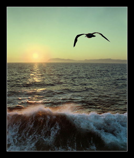 Анжелика Репп