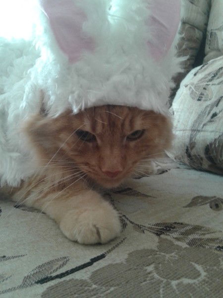 Киска Мавлиска