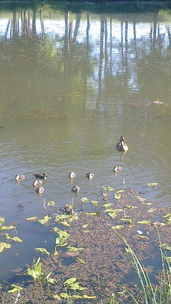 Юрий Яяяяяя