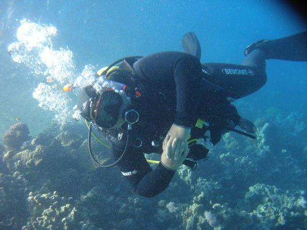 Виталий Водолей