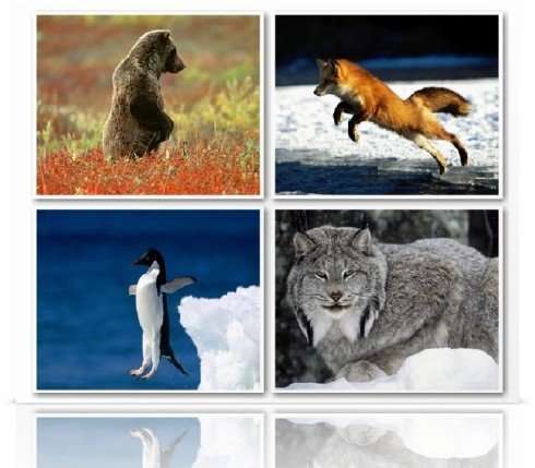 Валюша ,,,,,,,,,,,,,,,,