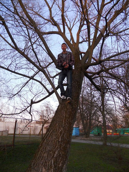 Артём Дылейко