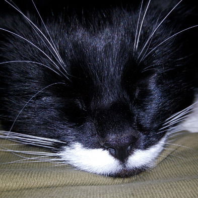 Иванов Иван