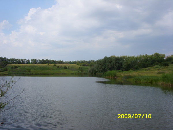 Андрей Мурашов