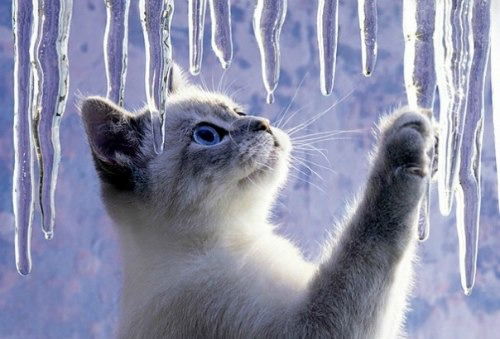 Оксана Сергеева