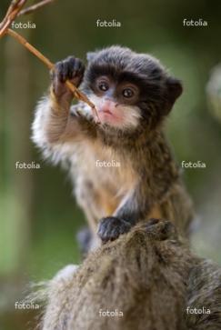 Опупель Опупелевна