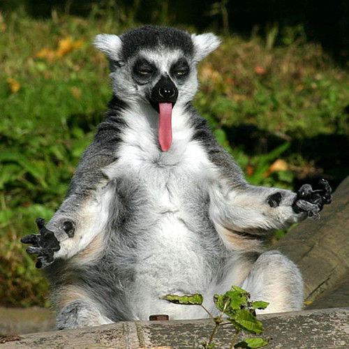 Дмитрий Колягин