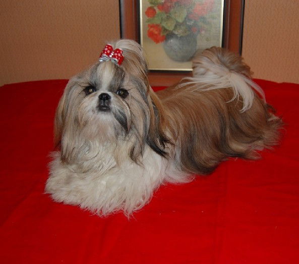 Мария Михеева