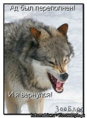 Ксения Папич