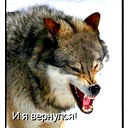 Ксения Папич