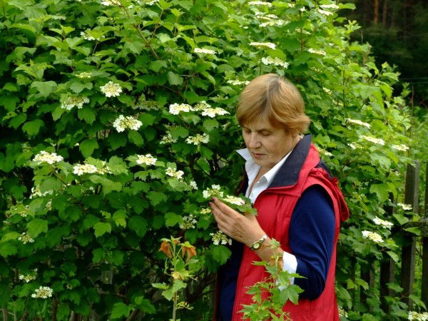 Майя Арефьева