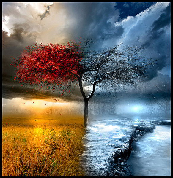 Коля Королёв