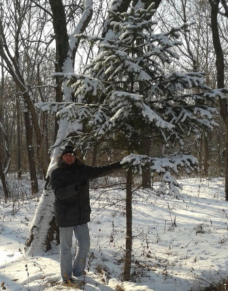 Алексей Алексеев