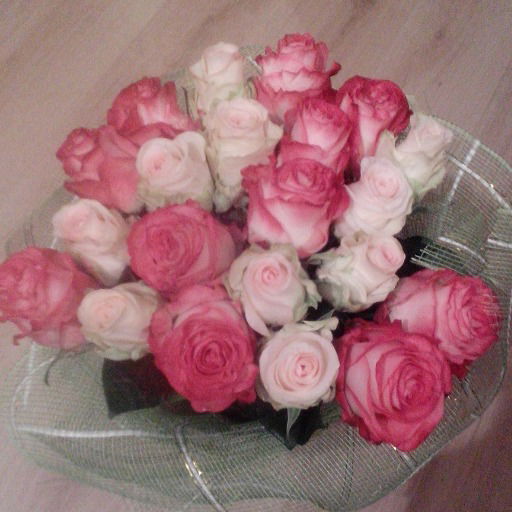 Екатерина Столярова