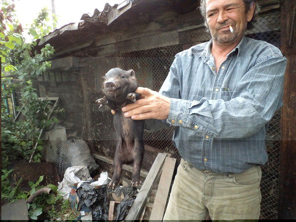 Михаил Воронов