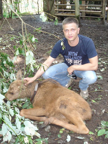 Александр Борняков