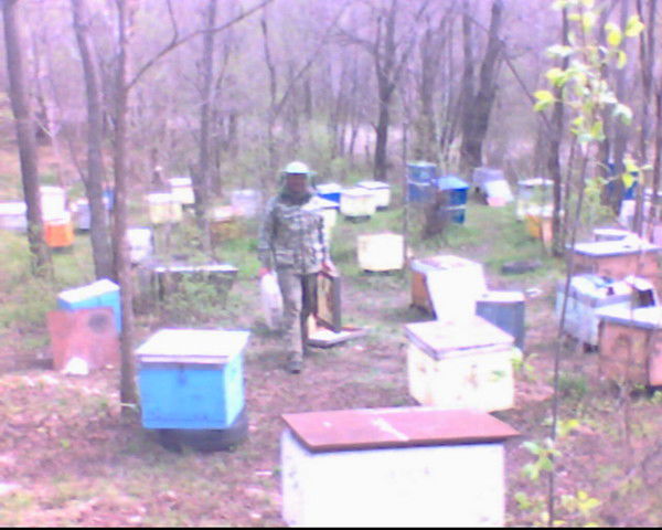 Евгений Сачко