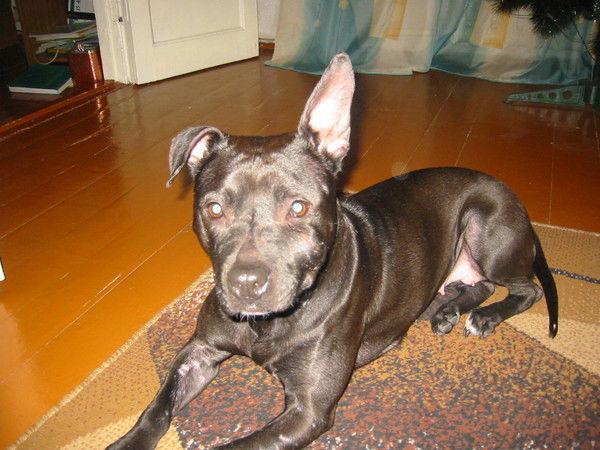 Олег Юрченко