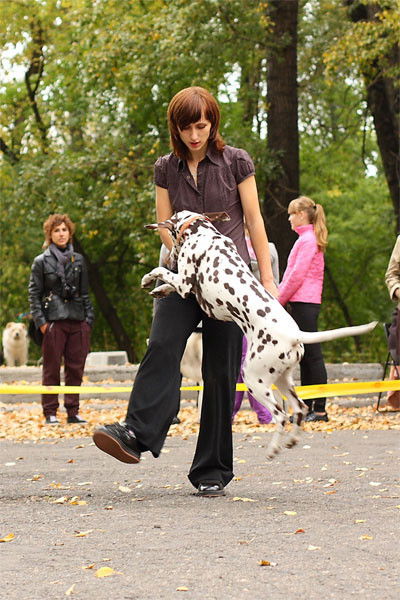 Мария Пантелеева