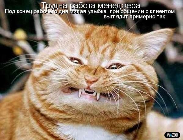 Роман Иванилов