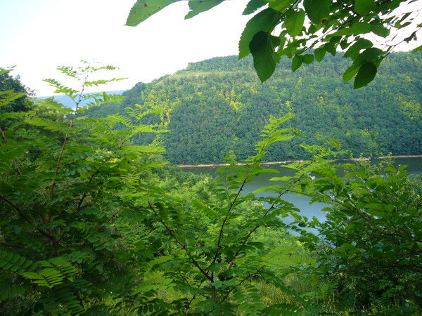 Валерий Кувшинов