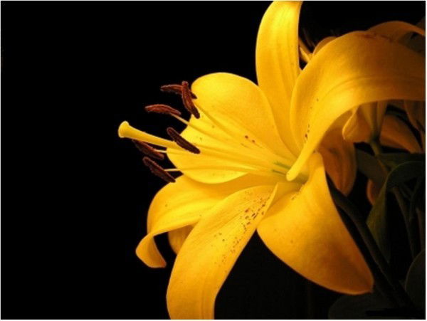 Ольга Осташина