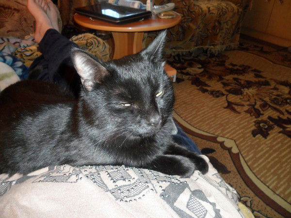 Ирина Кочнева