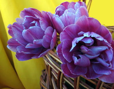 Курбанай Байдакова