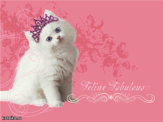 Елена Колбёшина