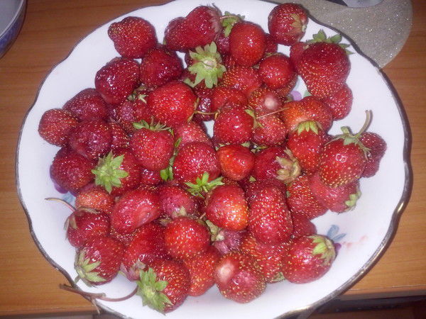 Галина Михеева