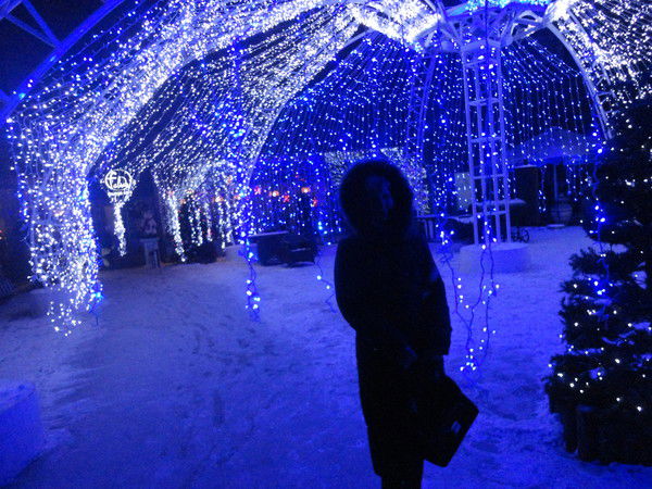 Елена Олейник