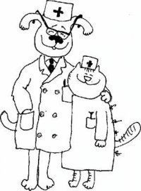 Кафедра Ветеринарии Забаи Филиал Иргсха