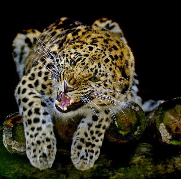 Зоя Гусакова