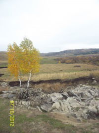 Катюнька Шаршунова