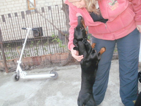 Яна Цовнерова