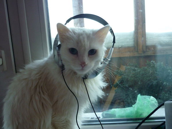 Александр Черных