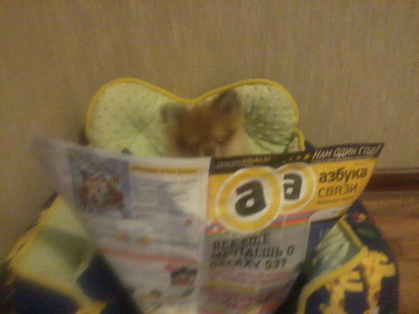 Настя Волкова