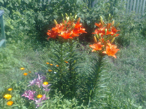 Вячеслав Шуников