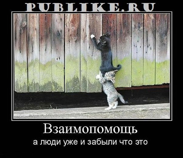 Рамания Абдрахманова