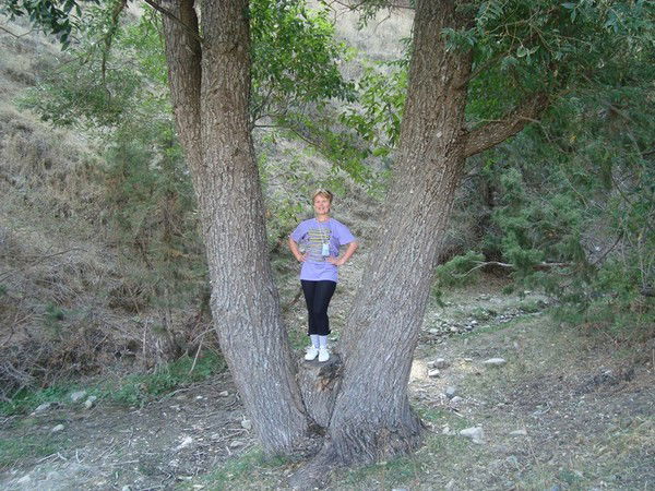 Гульнара Турсункулова