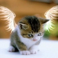 Наташа Андреева