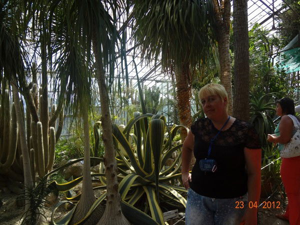 Елена Белоусова