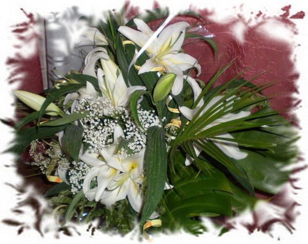 Виктория Матвеева