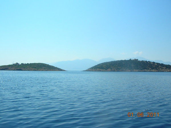 Светлана Миронюк