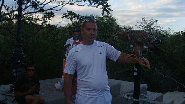 Александр Толиков