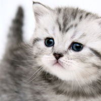 Оксана Вантюсова