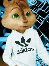 Дмитрий Сотников